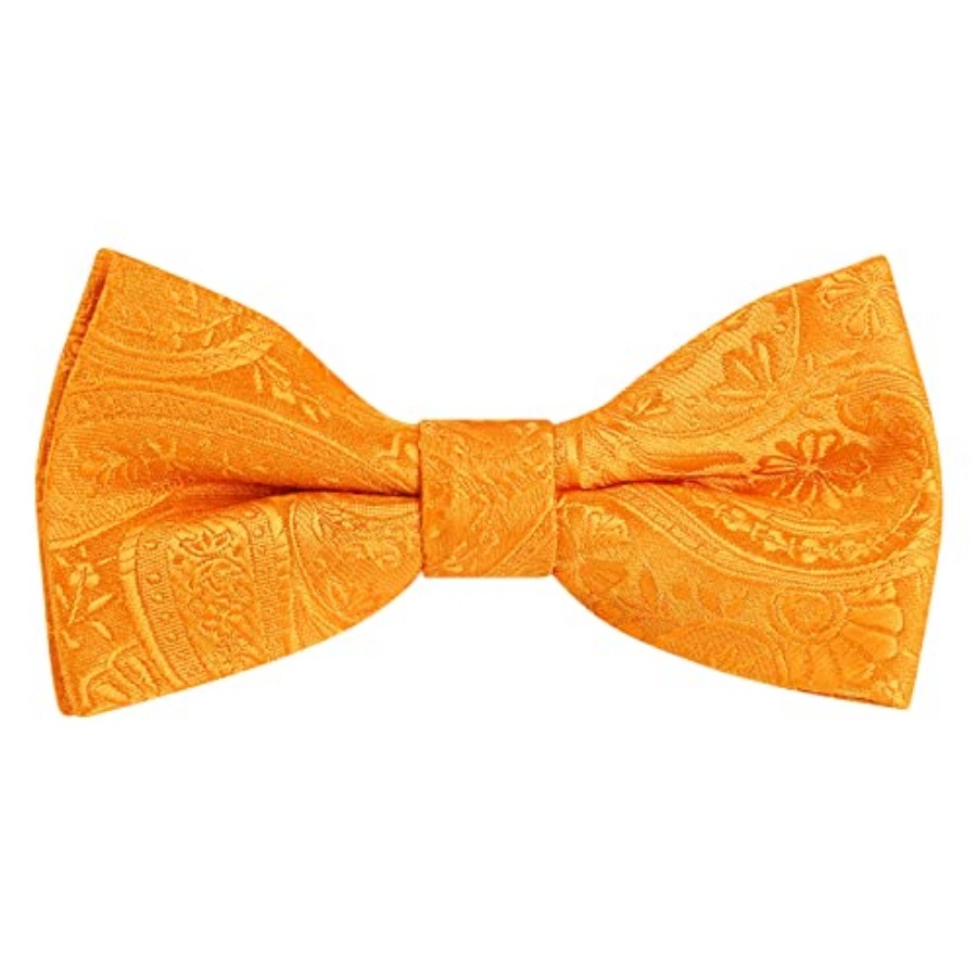 Alizeal Boys Classic Paisley A - Bow Tie Pre Tied บทวิจารณ์และราคา