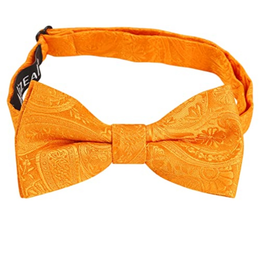 Alizeal Boys Classic Paisley A - Bow Tie Pre Tied บทวิจารณ์และราคา